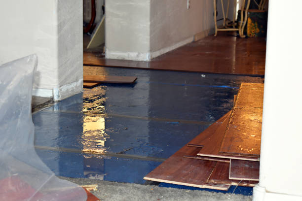Professional Burst Pipe Cleanup technician working in Irvington, NY